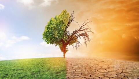 Innlegg: Klimaendringer og klimainstallasjoner