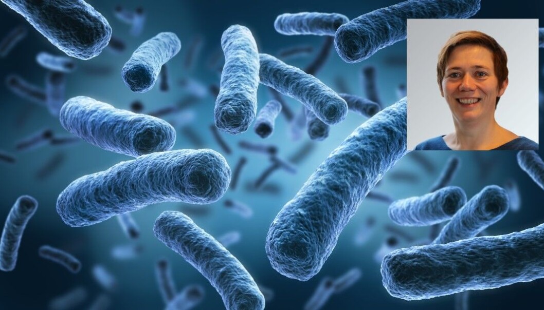Legionellaforebyggingen følges ofte ikke god nok opp, mener Hanne Therese Skiri. Illustrasjonsforo: Shutterstock. Legionellaforebyggingen følges ofte ikke god nok opp, mener Hanne Therese Skiri. Illustrasjonsforo: Shutterstock.
