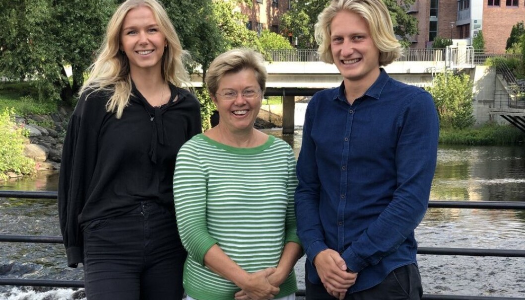 Erichsen & Horgen har gjennom de to siste somrene engasjert studenter til å samle miljødokumentasjon for tekniske installasjoner. Erichsen & Horgen har gjennom de to siste somrene engasjert studenter til å samle miljødokumentasjon for tekniske installasjoner.