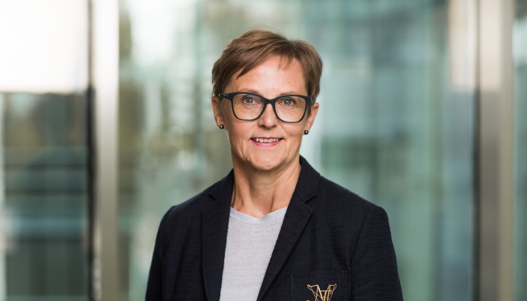 Rannveig R. Landet, direktør for energi og miljø i BNL og leder av Nasjonal handlingsplan for byggavfall (NHP-nettverket). Rannveig R. Landet, direktør for energi og miljø i BNL og leder av Nasjonal handlingsplan for byggavfall (NHP-nettverket).