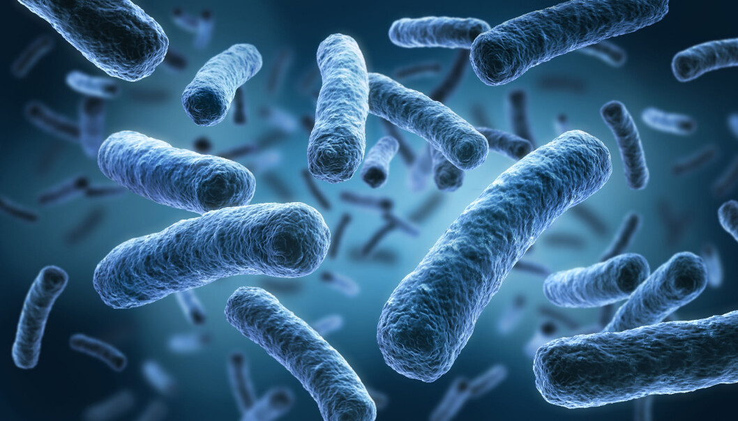GODKJENT: Rådgivningsselskapet Kompa har samlet en oversikt over lovlige legionella-kjemikalier. GODKJENT: Rådgivningsselskapet Kompa har samlet en oversikt over lovlige legionella-kjemikalier.