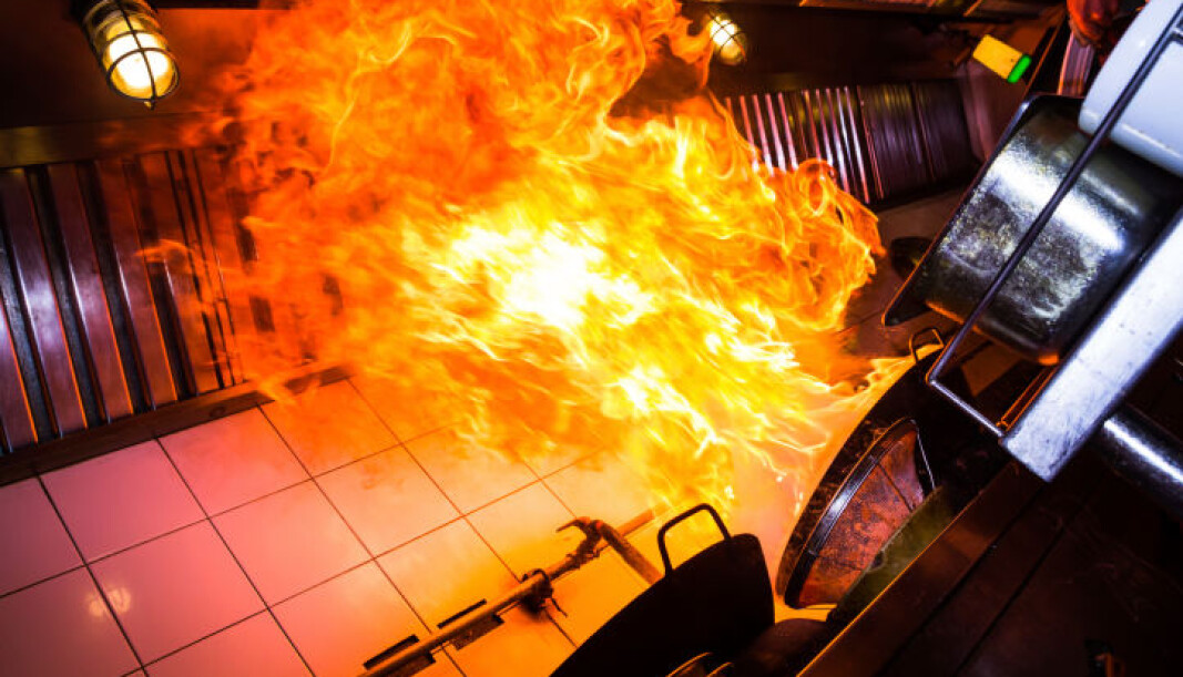Foto: https://www.fireline.com/protect-the-commercial-kitchen-today/ Foto: https://www.fireline.com/protect-the-commercial-kitchen-today/