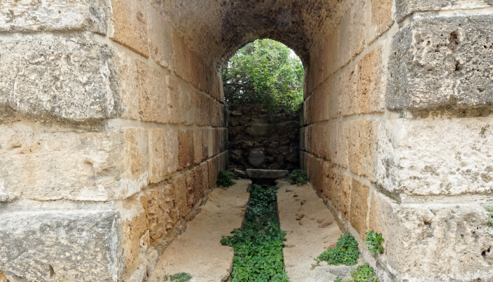 BAD: Romerne gjorde store fremskritt med sanitærteknologien. Termene – badeanlegget – som ble bygd i Karthago, nå Carthage, rundt år 150 mens Antoninus Pius var keiser, var et av imperiets største. BAD: Romerne gjorde store fremskritt med sanitærteknologien. Termene – badeanlegget – som ble bygd i Karthago, nå Carthage, rundt år 150 mens Antoninus Pius var keiser, var et av imperiets største.