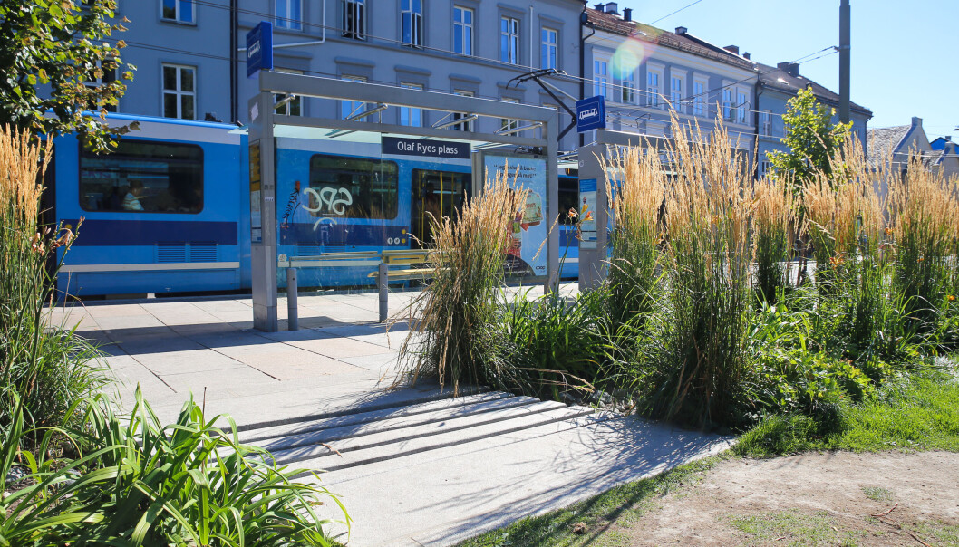 Gateopprustningen i Thorvald Meyersgate i Oslo og løsningene valgt for klimatilpasning er blant de tre nominerte til Statens pris for byggkvalitet 2022. Gateopprustningen i Thorvald Meyersgate i Oslo og løsningene valgt for klimatilpasning er blant de tre nominerte til Statens pris for byggkvalitet 2022.