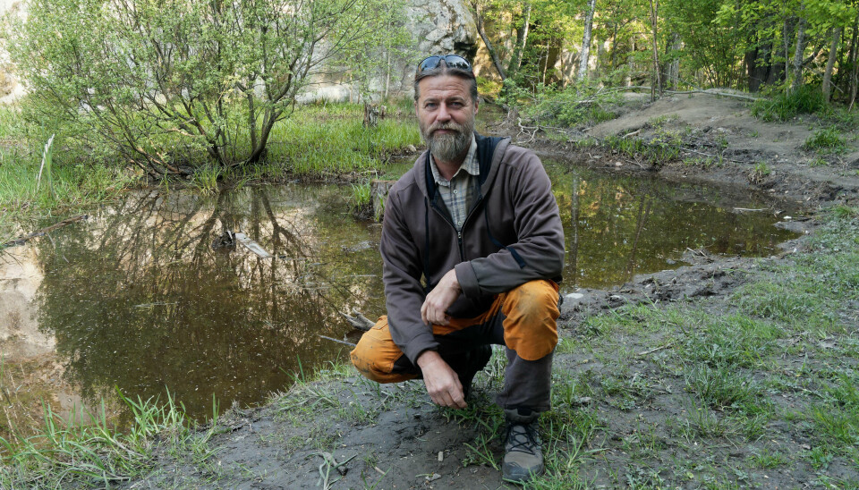 DAMBYGGER: Her har Jan Rino Humlekjær restaurert den naturlige dammen, men han kan også lager nye dammer helt fra bunnen av.