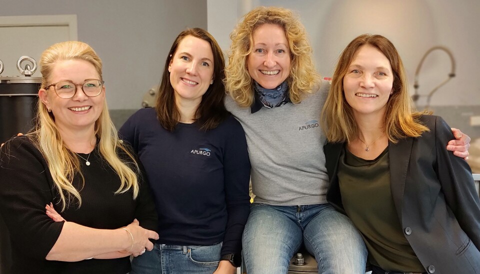 BLIR INGEBORGERE: Lene K. Vaagan, Irene B. Ytterdal-Larsen, Lise Marie Nergaard og Heidi Fossland i Apurgo.