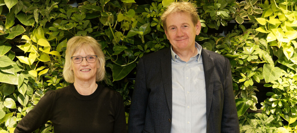 Boligeierne gjør det skikkelig – utbyggerne bygger dårligst