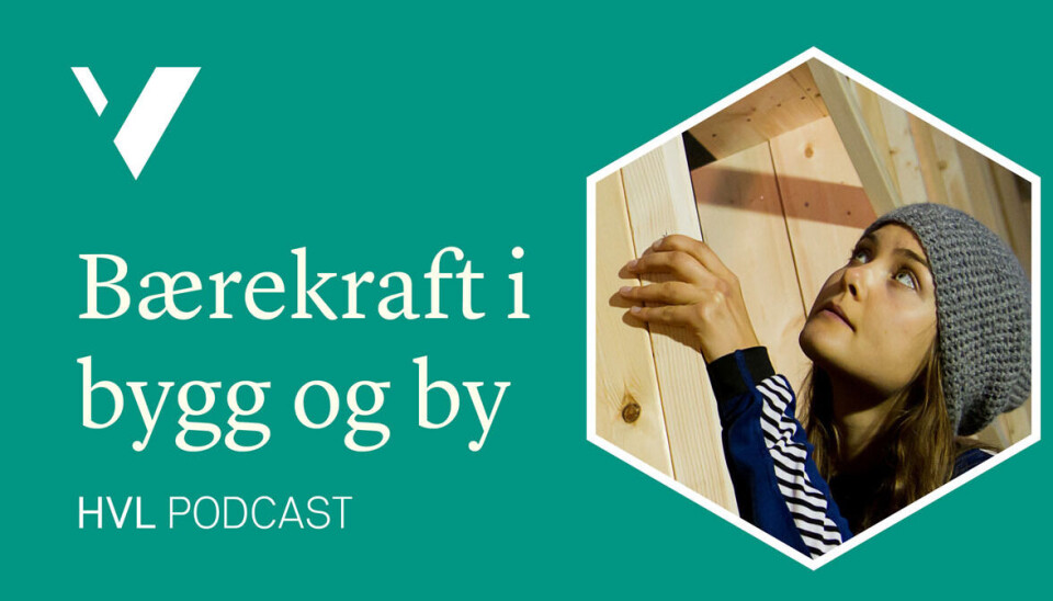 Sirkulær byggepraksis: Innsikt fra Nederland