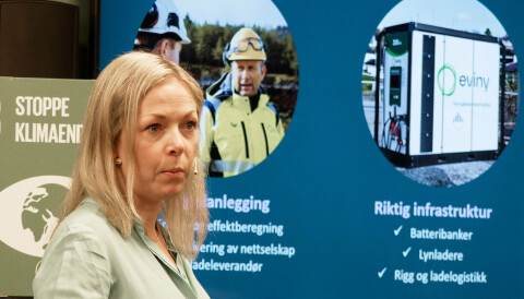 DYRERE: Foreløpig er det dyrere å bygge utslippsfritt, konstataterer Camilla Moster.