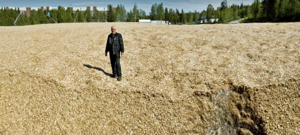 13-dobler kjølingen med snø