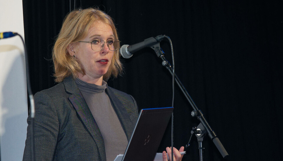 SKJER MYE: 2024 er et år der det skjer mye, sier NVEs Maren Esmark, som blant annet peker på at DiBK går gjennom byggteknisk forskrift. Tek-en er kanskje det viktigste vi har for energieffektivisering, mener hun.