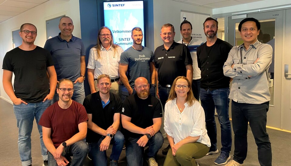 Arbeidsgruppen for utarbeidelse av veilederen har bestått av forskere og rådgivere fra SINTEF, RISE Fire Research, Norconsult, Skogmo Industripark, Grannes VVS, Proveno og Namsos kommune.