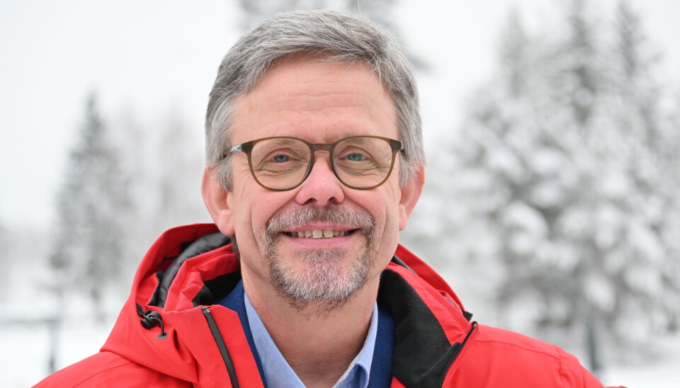 Terje Røising, Daglig leder i VVP.