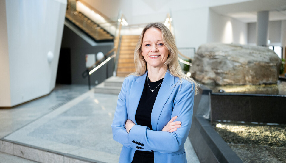 Camilla Amundsen blir ny administrerende direktør for Rambøll i Norge.