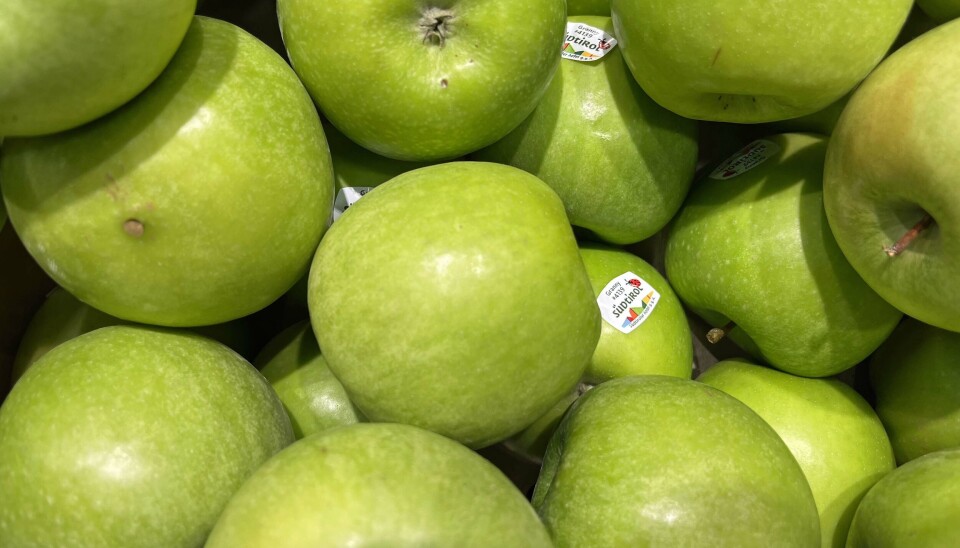 ITALIENSK: Forbrukerne vil ha norske epler, men får italienske, konstaterer Erlend Indergård. Bildet er tatt i april i en fruktdisk uten norske epler, i en butikk med uvanlig stort vareutvalg.