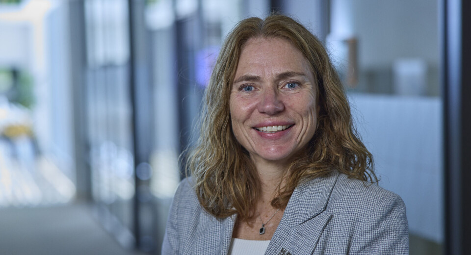 Kari Sveva Dowsett, konserndirektør i Multiconsult Norge.