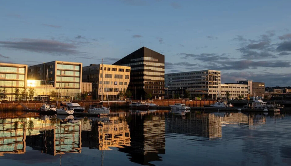 Powerhouse Brattørkaia i Trondheim er et av Norges mest kjente BREEAM-sertifiserte bygg, og viser hvordan høye miljøambisjoner ikke nødvendigvis trenger å bety høyere byggekostnader.
