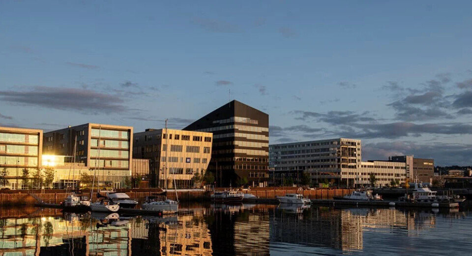 Ny rapport fra Enova og Asplan Viak gjør nye funn om energieffektivisering og klimagassutslipp.