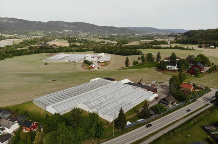 Energismart salatproduksjon