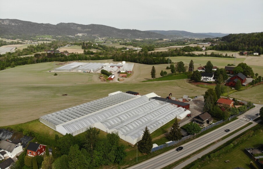 Energismart salatproduksjon