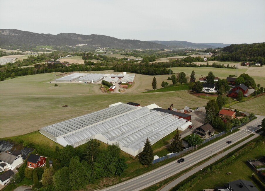 Energismart salatproduksjon