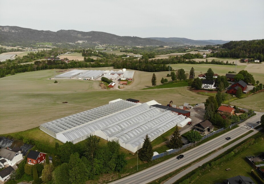 Energismart salatproduksjon