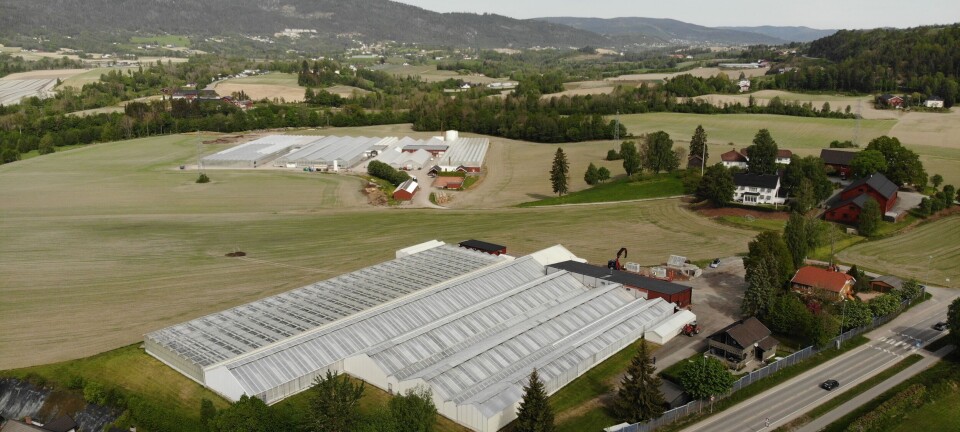 Energismart salatproduksjon