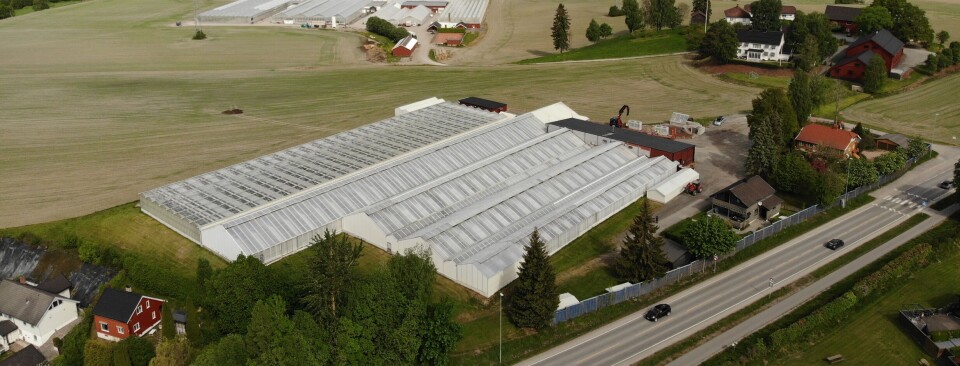 Energismart salatproduksjon