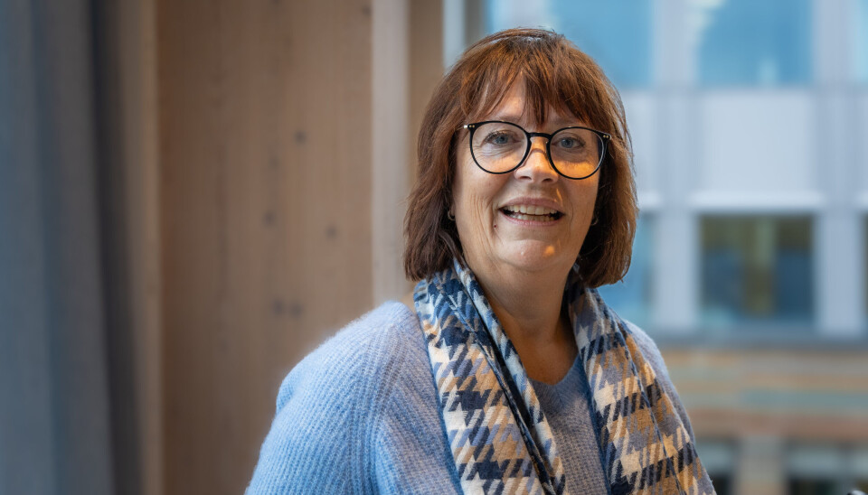 Ingunn Gjermundnes, prosjektsjef i GC Rieber Eiendom vil fortelle både om positive og negative erfaringer fra prosjektet.